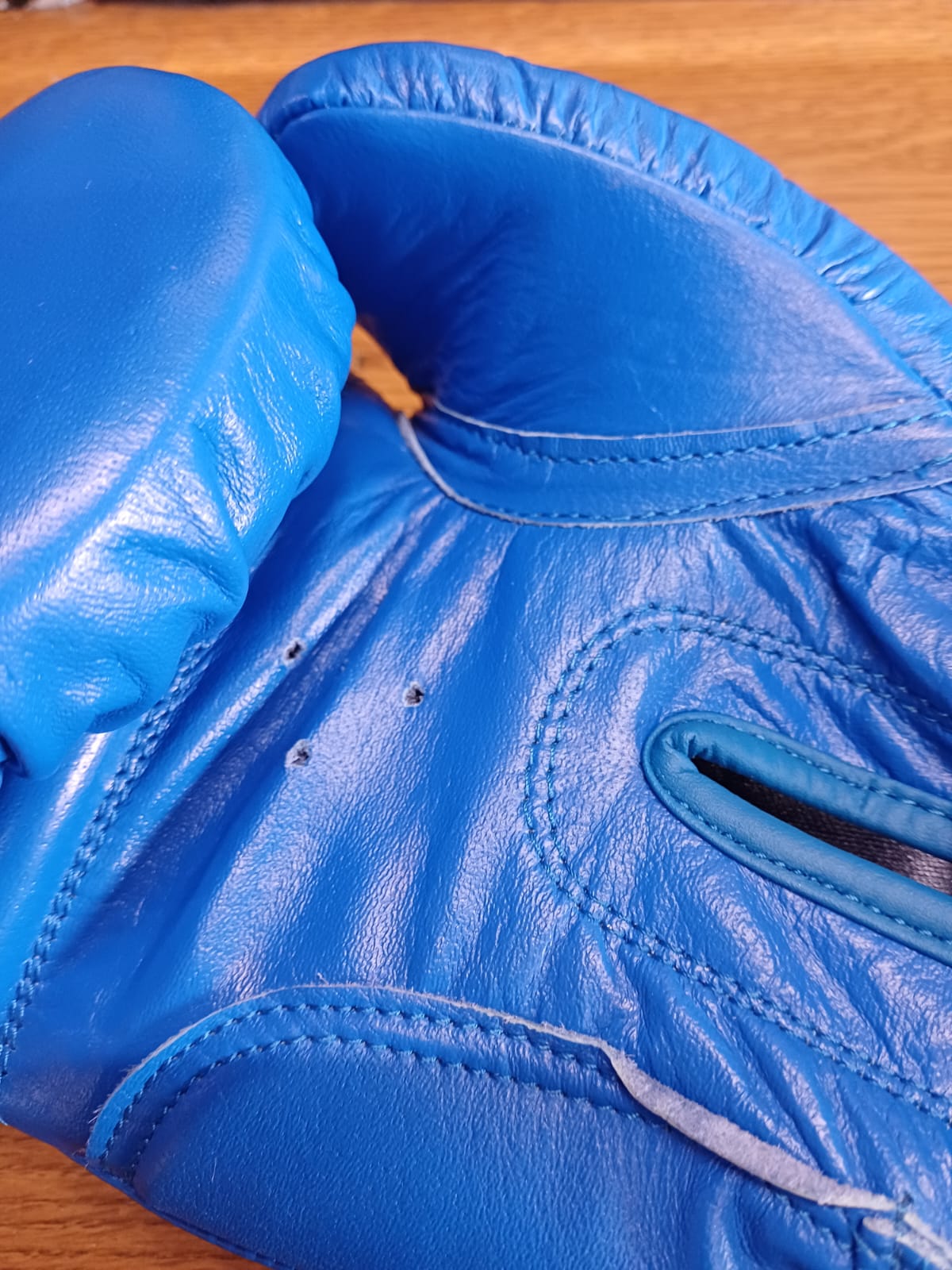 Fight Rite Boxing Gloves