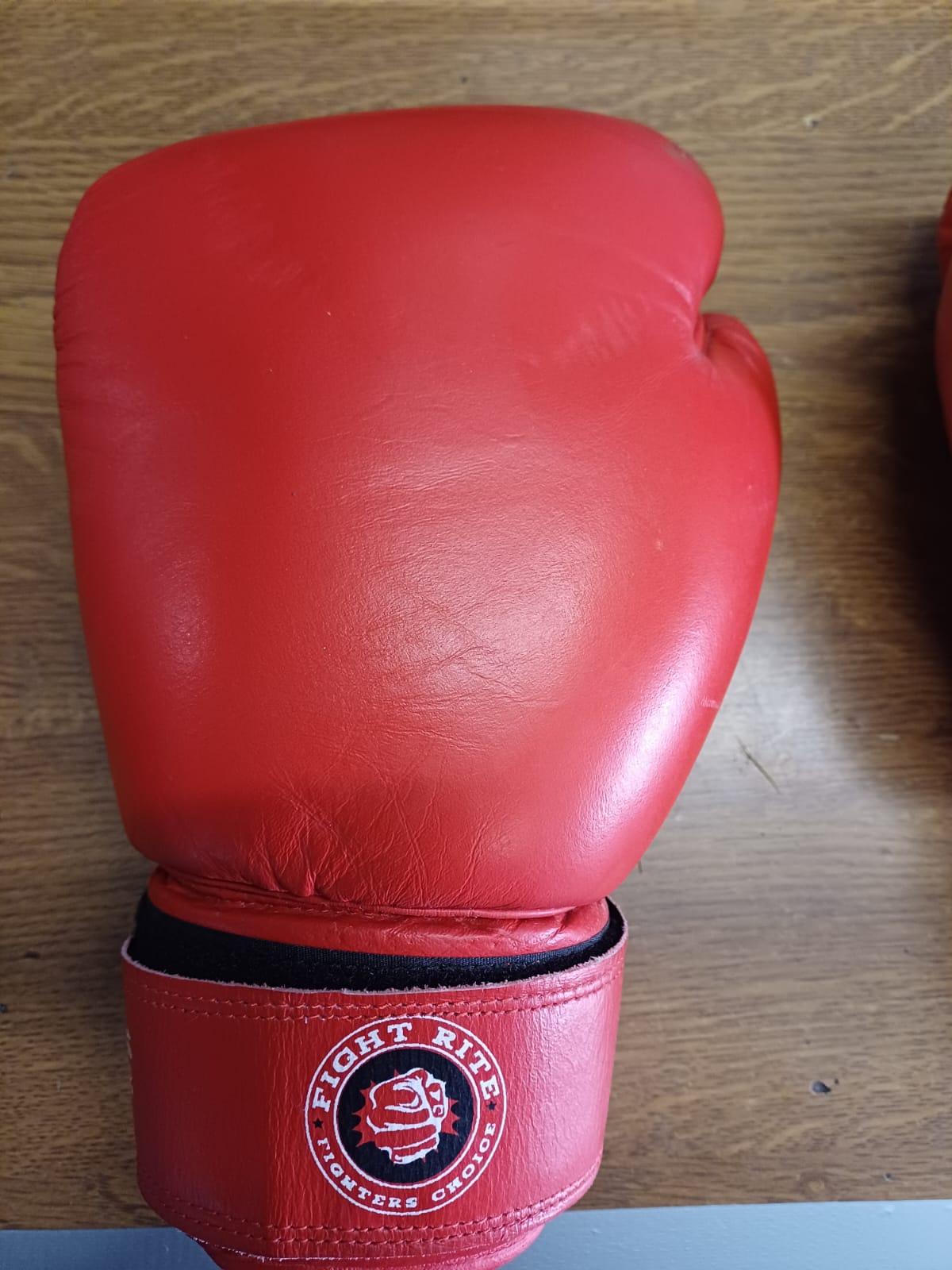 Fight Rite Boxing Gloves