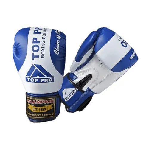 Top Pro Champion Boxing Gloves