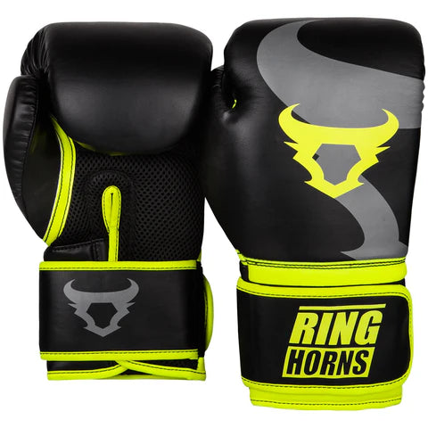 Ringhorn Charger Boxing Gloves